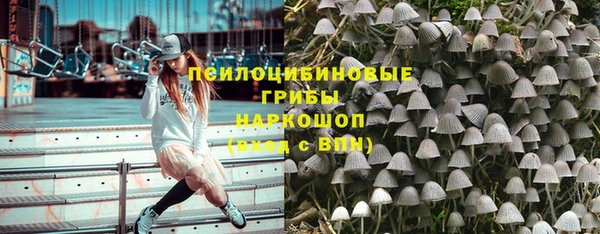гашик Армянск